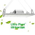 365nm UV Grow Light para cultivo interno