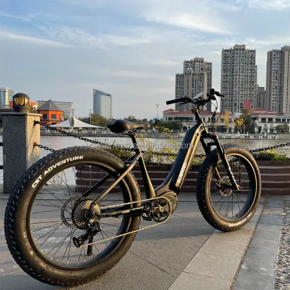 Lowrider Bicycle Hydraulic Disc Brake Piezas for Cruiser Bikes over 60 km