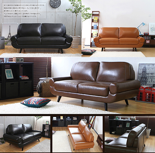 Leather Loveseat Sofa