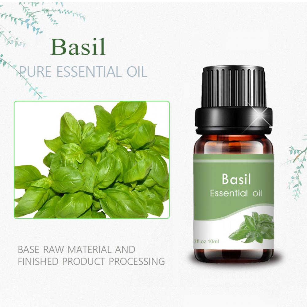 Grado terapéutico OEM Basil Natural OEM Aceite esencial