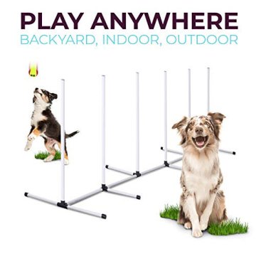 Dog Agility Training Equipment Dog Obstacle Course