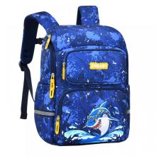 Boys Trendy Backpack Elementary Water Resistant Daypack