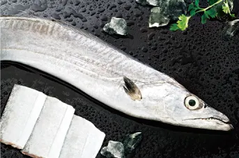 Frozen fish frozen seafood hairtail fish