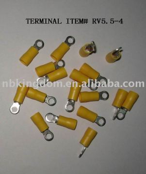 # RV5.5-4 Terminal &amp; Stecker