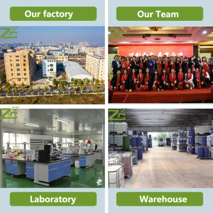 Health Care Skin Care Seabuckthorn Fruit Oil Essential Oil