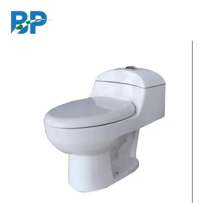 South American Countries Popular Cheap Ceramic Train Public Toilet Seats
