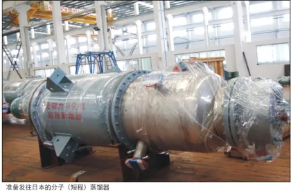 Film evaporator