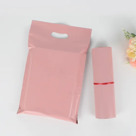 Express mailer bag with handle