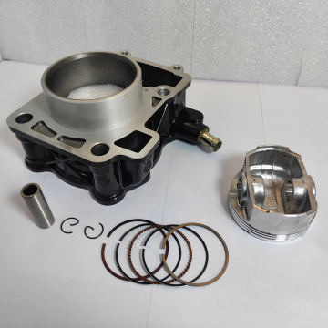 Bajaj Rouser Pulsar 200NS Piston Cylinder Kit