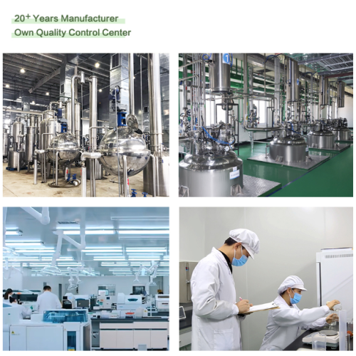 Екстракт високог квалитета зеленог чаја