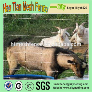 Factory direct sale cattle fence and hinge joint knot field fence mesh for animals & hinge joint field fencing &horse farm fence