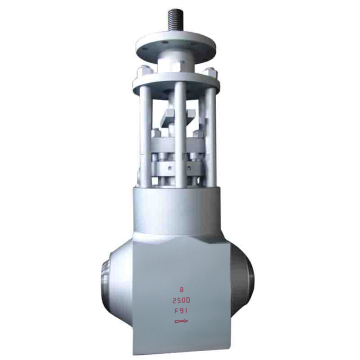Pressure Seal Globe Valve Class 2500#