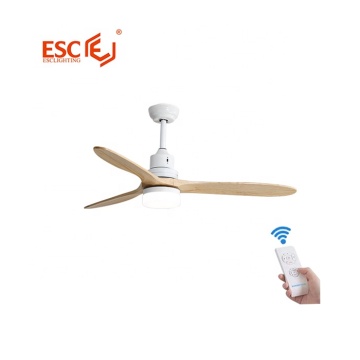 Portable ultrasound system ceiling fan light