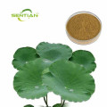 /msite/products/detail/productid/67500152/id/1521433.html