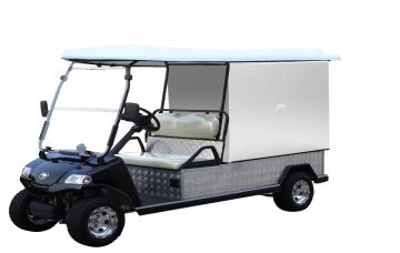 Electric Utility Car/Cart/Buggy, Sightseeing/Utility Bus (DEL3042GCX2, 2-Seater)