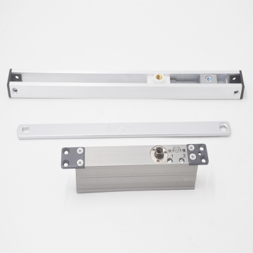 High Quality Hydraulic Concealed Door Closer ITS-106