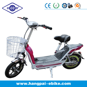 Cheap Mini City Electric Bicycle (HP-Citybabay)