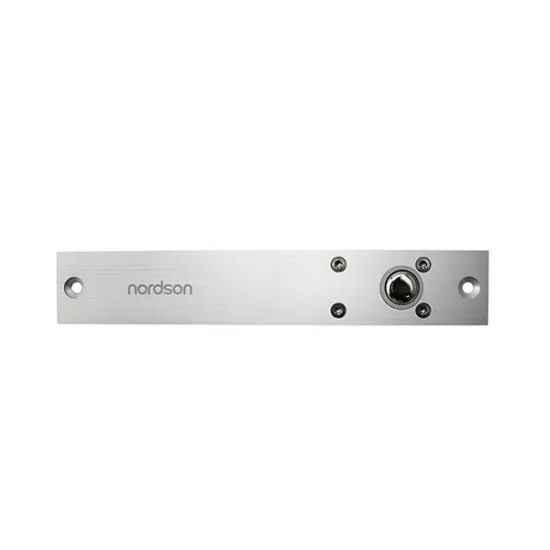 2 pin electric panel door lock ( NI-100A )