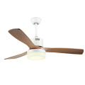 Modern Decorative Ceiling Fan with Light