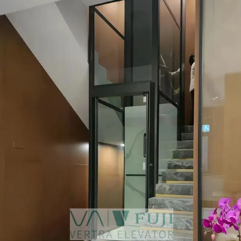 Traction 2/3 Floor Vertical Platform Villa Lift Home Sightseeing Elevator