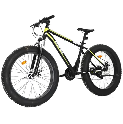 Wholesale High Quality Cheap Snow Bike Fork and Fat Tire Bicycles