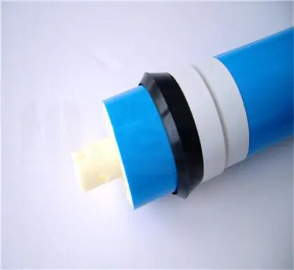 Hot housing reverse osmosis membranes