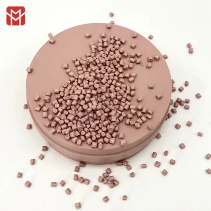 Guangdong MOLAN Dental Implants and Consumables: PEEK Block Materials