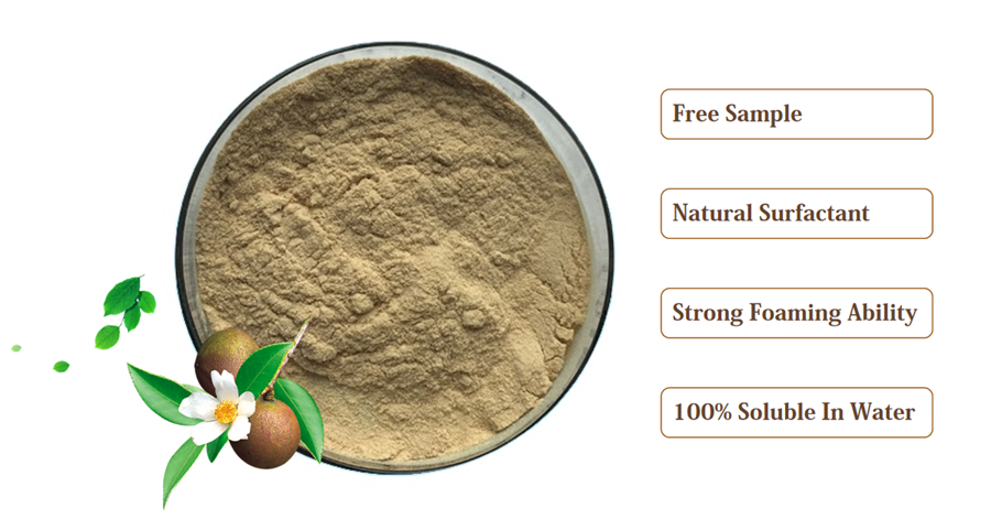 tea seed extract powder