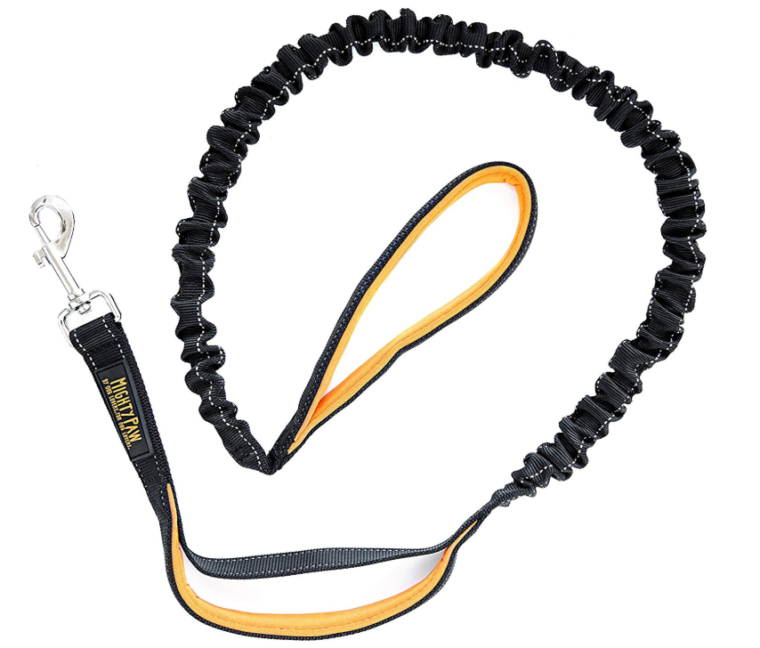 Comfortable Bungee Dog Leash