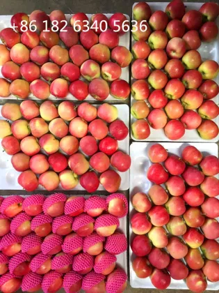 CHN Fresh Huaguan Apple