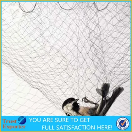 2cm x 2cm Mesh Size 8M x 3.1M Black Garden Anti Bird Mist Net