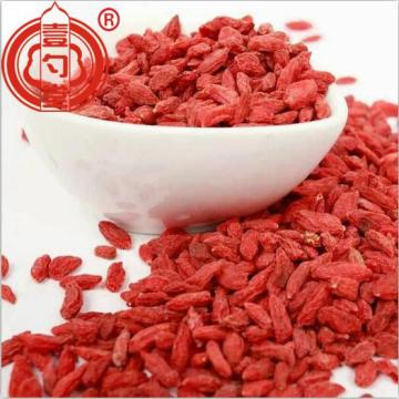 Health Organic Certified Goji Berry Organic Dried Fruit