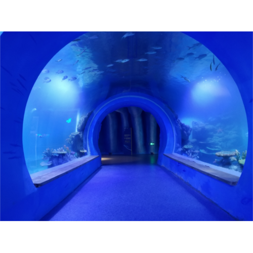 Túnel de aquário de acrílico grande de luxo