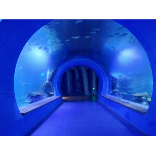 Luxury Large Customer Acrylic Aquarium Tunnel