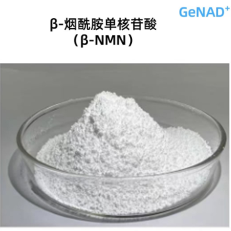 NAD Nicotinamide Adenine Dinucleotide, NMN