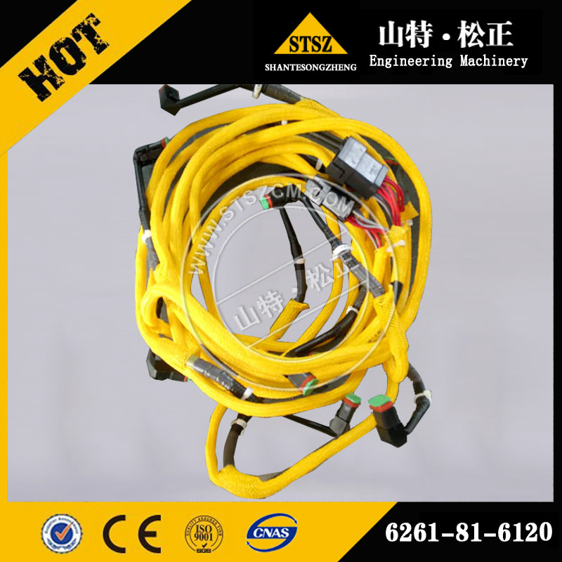 SAA6D125E Wiring Harness 6156-81-9221