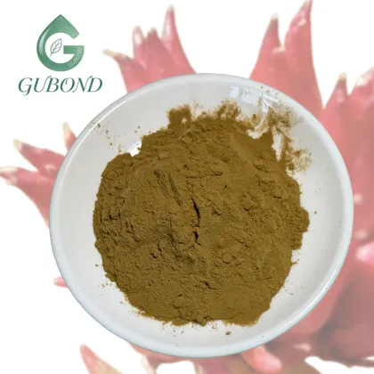Natural Rhodiola Rosea Extract Powder Bulk