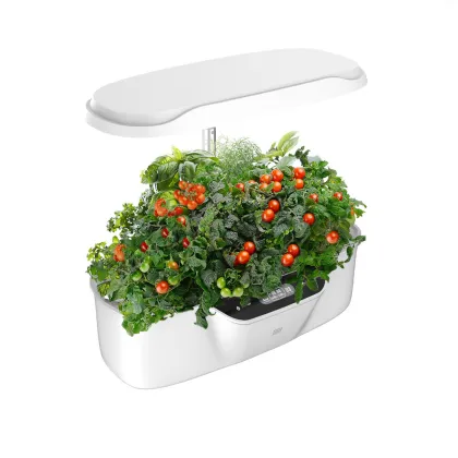 Smart Hydroponic Indoor Herb Garden with LED Grow Light and 12-Pot Capacity