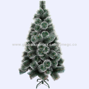 White spots pine needles Christmas tree