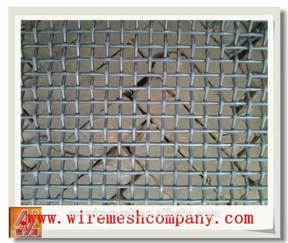 stainless steel crimped wire mesh/grill mesh/barbecue wire mesh hebei anping factory price