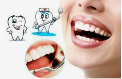 Supply Tooth Regeneration powder Tideglusib