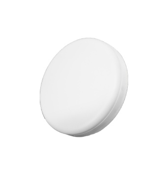 Panic Buying: Easy Install 24W Round LED Ceiling Light for Living Room