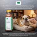 Veterinary Grade Pet Joint and Bone Supplements Liquid Mobility Support