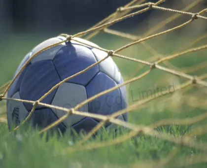 soccer goal net/football goal practice net