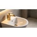 Mixers bidet