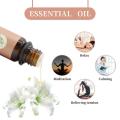 Preço por atacado a granel Natural 100% Orgânico Lily Essential Oil for Healthcare Products