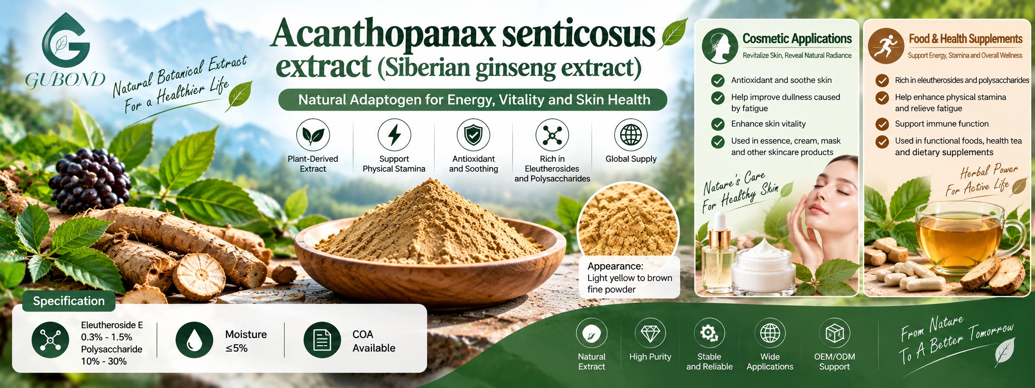 Acanthopanax senticosus extract