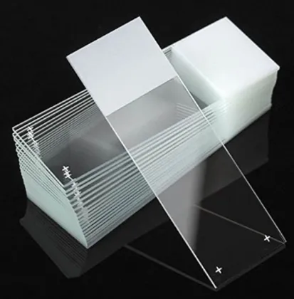 High-Quality Microscope Slide Set