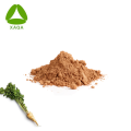 Extract europeo Extract Parsnip Extract Powder 10: 1