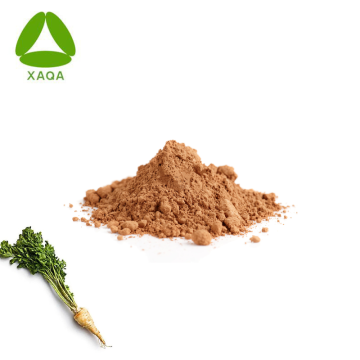 Ευρωπαϊκό εκχύλισμα Butterbur Parsnip Root Extract Powder 10: 1